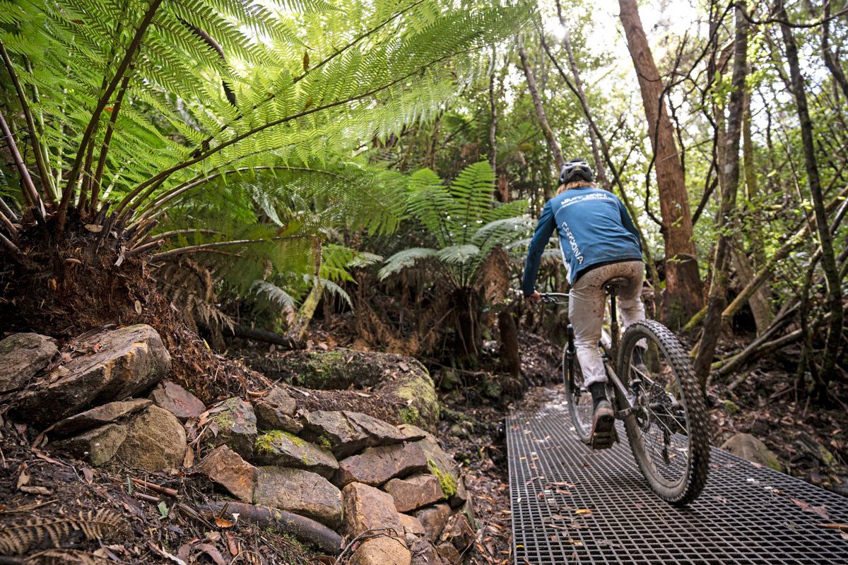 rocky add user to wheel