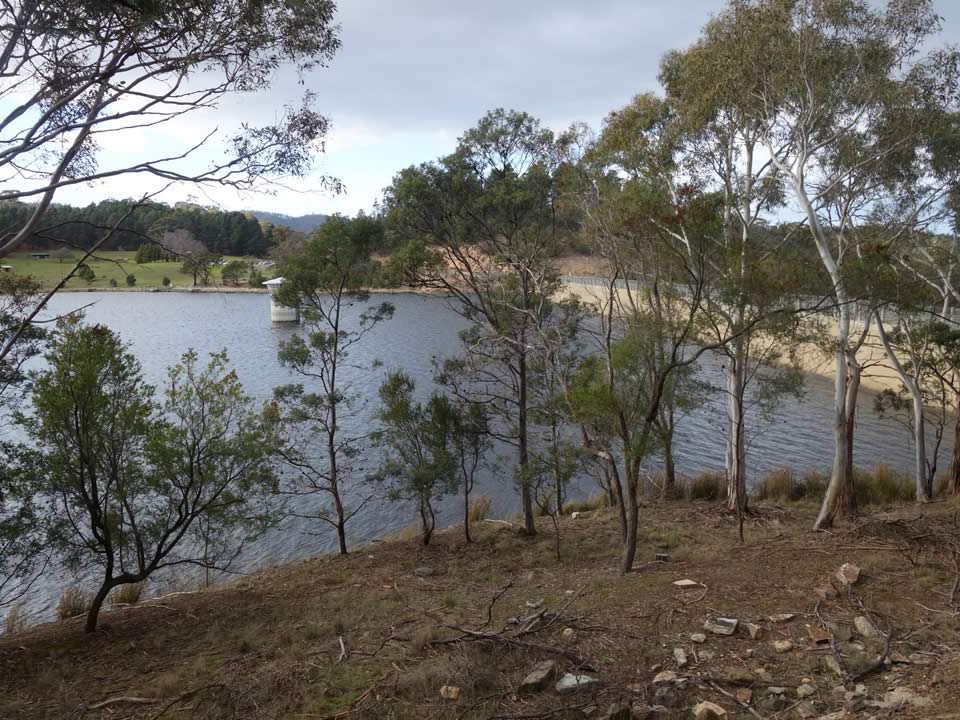 Mt Direction Track Greater Hobart Trails